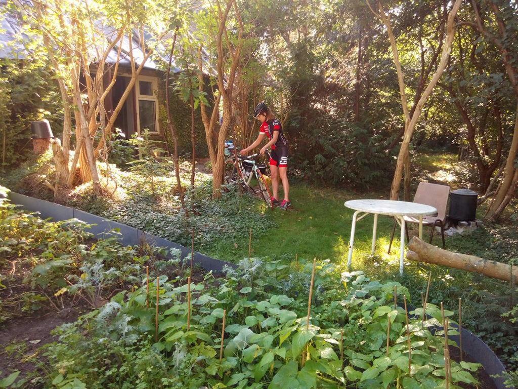 De Hoeve Mare Terre Giethoorn, Voor 1 Tot 6 Personen Exterior photo